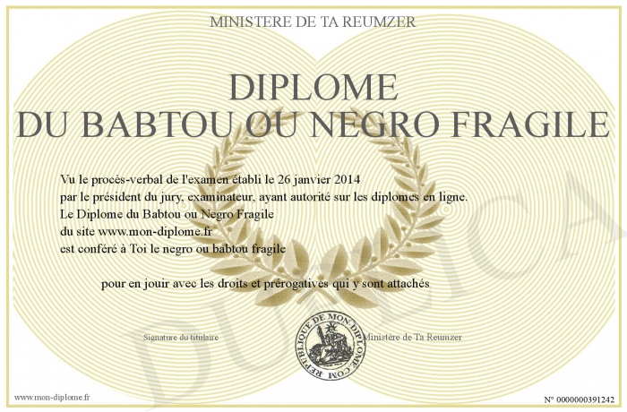 LES EVOLUTIONS DE L'HOPITAL / LA BOITE A IDEES - Page 10 700-391242-Dipl%C3%B4me%20du%20Babtou%20ou%20Negro%20Fragile