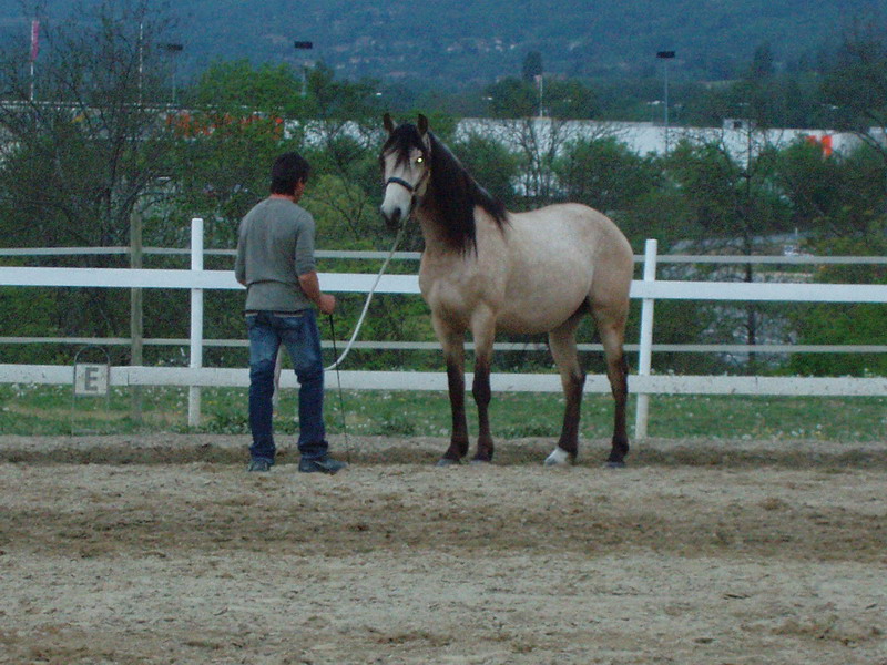 Poseido ... Copie-de2007-0425-201018-redim