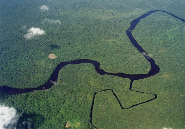 فنزويلا البوليفارية V_venezuela_rainforest_aeri