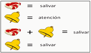 DIDACTICA: TEORÍAS DEL APRENDIZAJE: PAVLOV. EXPOSICIÓN EQUIPO 1 Image15