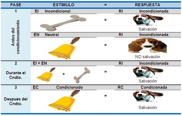 DIDACTICA: TEORÍAS DEL APRENDIZAJE: PAVLOV. EXPOSICIÓN EQUIPO 1 Image006