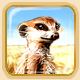 Animaux bonus ~> vos possessions Bonus_suricate