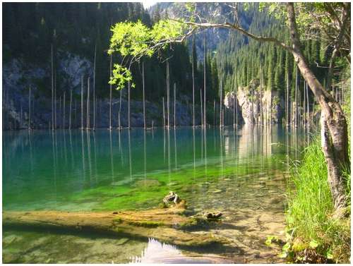 The magical nature Shallow-lake