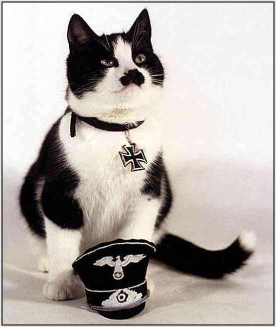 Nazis con gatos Adolf-Hitler-Funny-Pictures-6