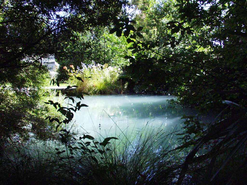 Магическото езеро Water-garden-pond