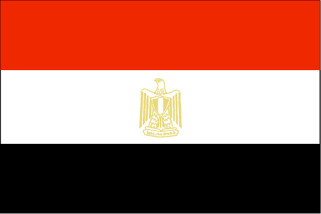 تصفيات كاس العالم     مصر & رواندا Flag01