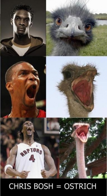 Player that look like Dinosaurs Chris-bosh-ostrich