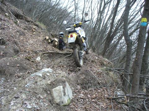 giro in Val Tidone e Chiarone P1010037