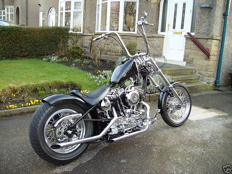 bos brelons!!! (Harley) - Page 40 Harley-davidson-sportster