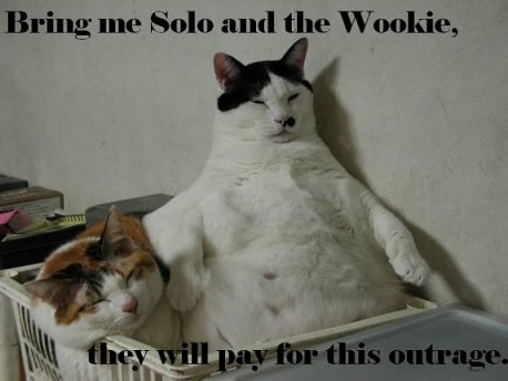 The random post! let out your randomness here people! :D SW-Jabba-Cat