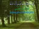 الا بدكر الله تطمئن القلوب TN_Forest%20road_1024