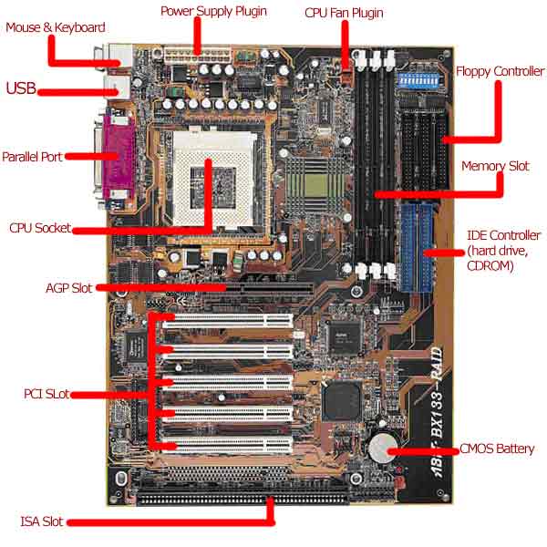 بحث شامل عن اللوحة الأم Motherboard L1_3_2