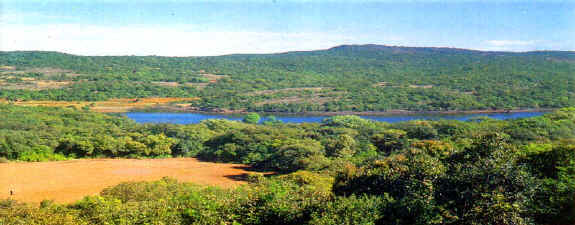 عرفتوها Mahabaleshwar6