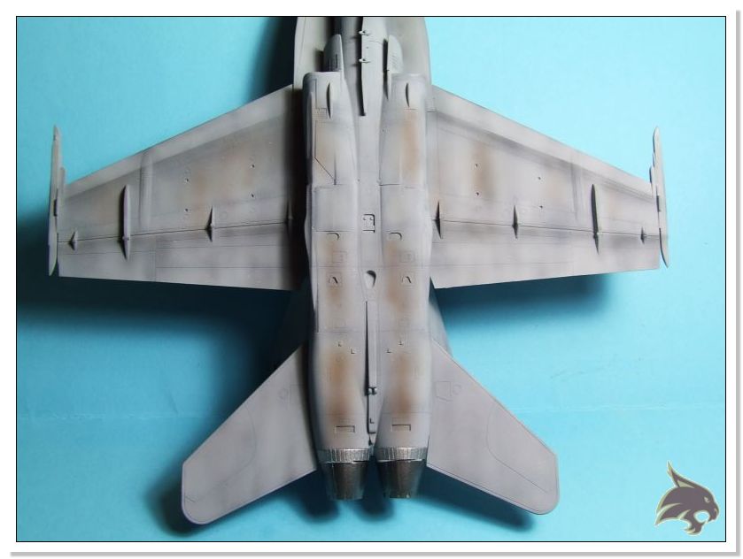 F/A-18 A/B Ejercito del Aire - Academy 1/72 Pintura15