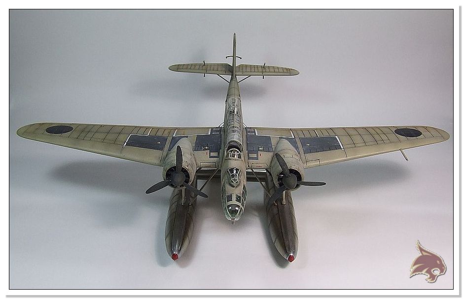 Heinkel he115 A-0 "Legion Condor" - Revell 1/72 ¡¡Nuevas fotos con base de mar!!! 06