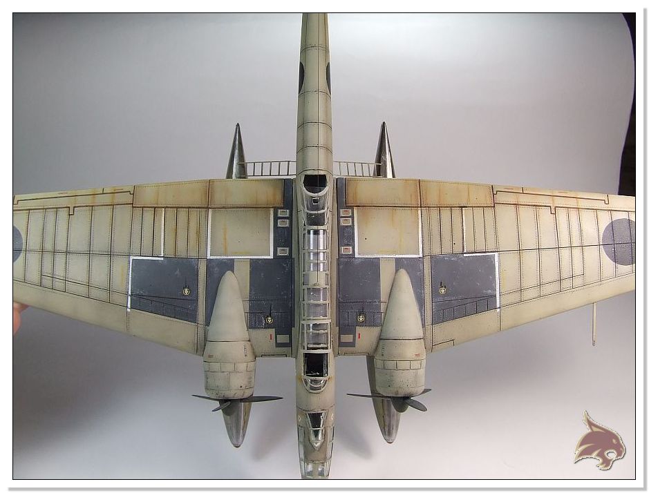 Heinkel he115 A-0 "Legion Condor" - Revell 1/72 ¡¡Nuevas fotos con base de mar!!! 26