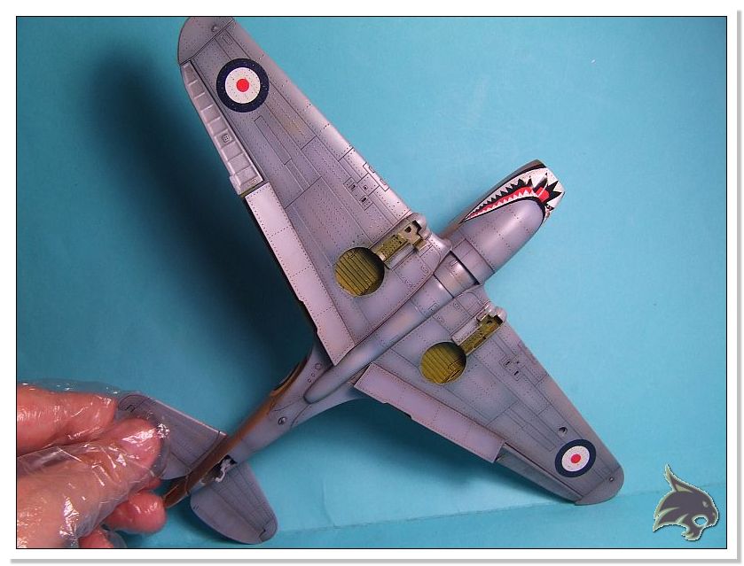 Curtiss P-40 Warhawk (Tomahawk IIA) Trumpeter 1/48 Pintura16