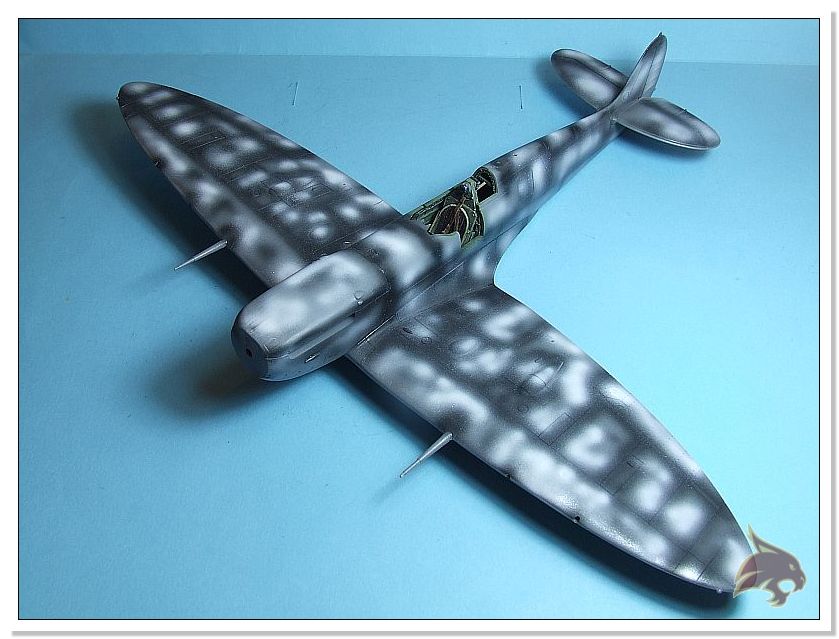 Spitfire Mk Vb "Stefan Witozenc" - Tamiya 1/48 Bajos02