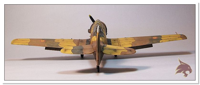 North American T-6 Texan - Guerra Sahara - Ocidental 1/48 06