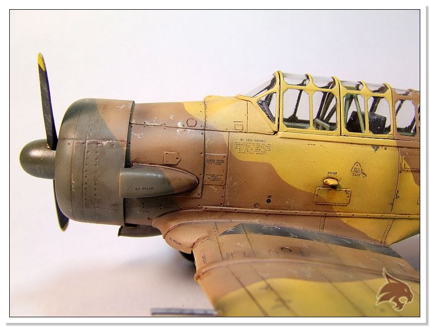 North American T-6 Texan - Guerra Sahara - Ocidental 1/48 13