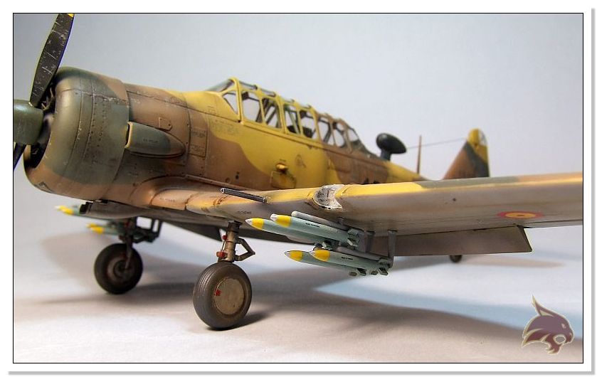 North American T-6 Texan - Guerra Sahara - Ocidental 1/48 14