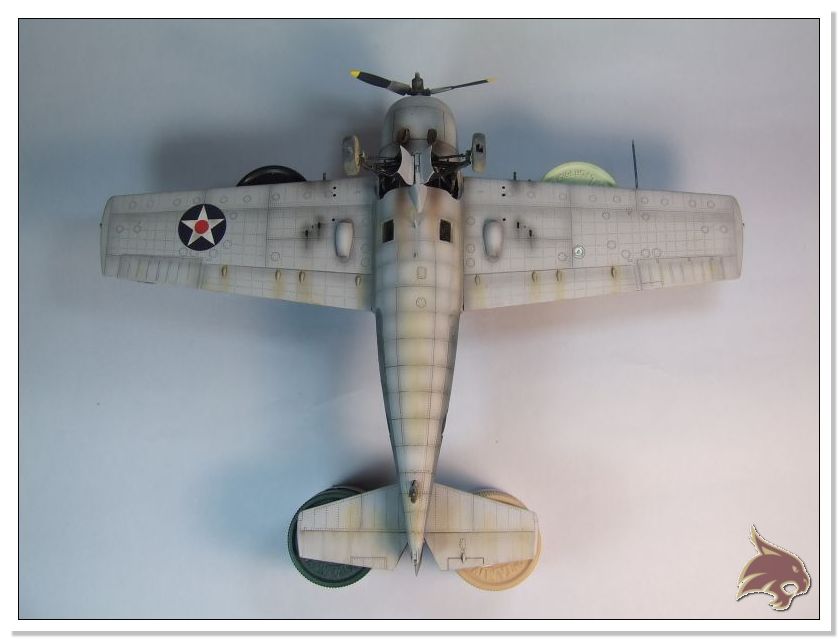 F4F-F3 Early Hobbyboss 1/48- "The Blas's Wildcat" Final20