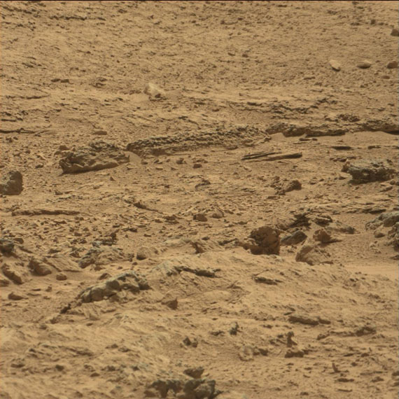 ¿Un Saurio Fosilizado en Marte? Sau01