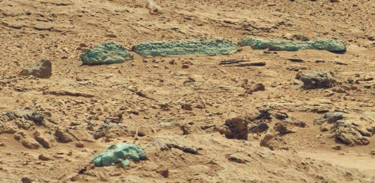 ¿Un Saurio Fosilizado en Marte? Sau02