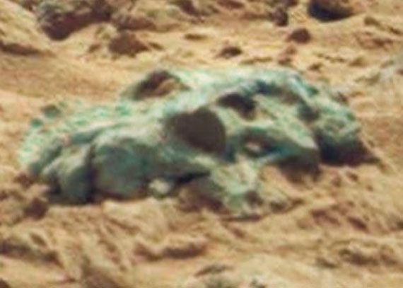 ¿Un Saurio Fosilizado en Marte? Sau03
