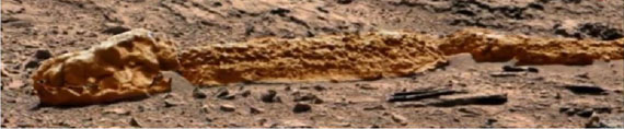 ¿Un Saurio Fosilizado en Marte? Sau06