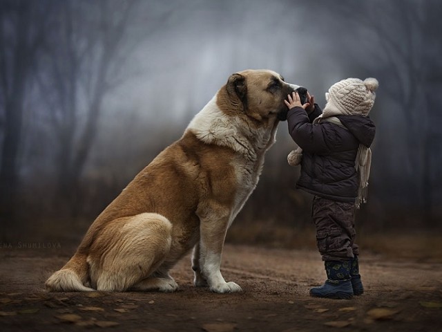 Los Animales refuerzan nuestro sistema inmunológico Ninosyanomales-640x480