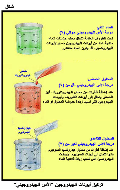 المياه Fig07