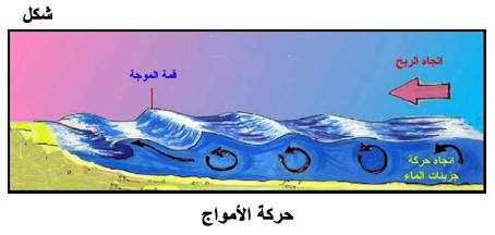 المياه Fig15