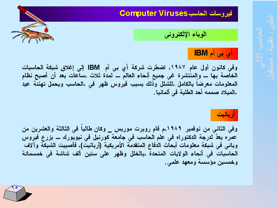 الحاسب اﻻلي -  تطورا - تقنية -  مستقبﻻ SLIDE95