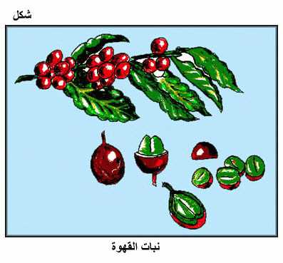 الموسوعة الغذائية المصغرة Fig01.gif_cvt01