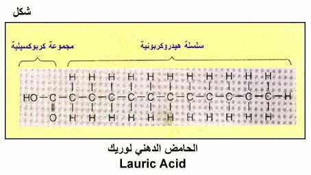 الموسوعة الغذائية المصغرة Fig32.gif_cvt01