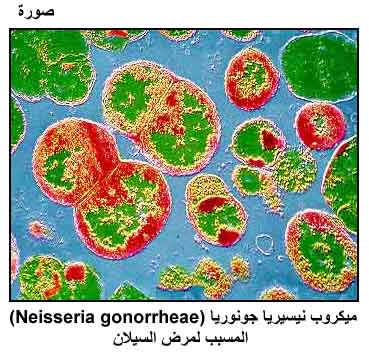  الموسوعة الصحية المصغرة الإدمان، المخدرات،الموت من وجهة النظر (الطبية) Pic01