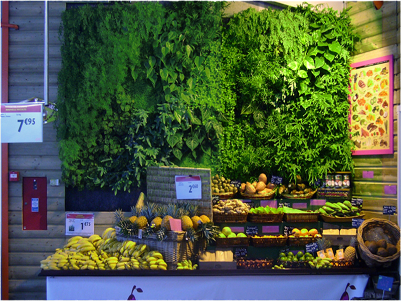 mon 1er terra!! - Page 2 Mur_vegetal_fruistyle4