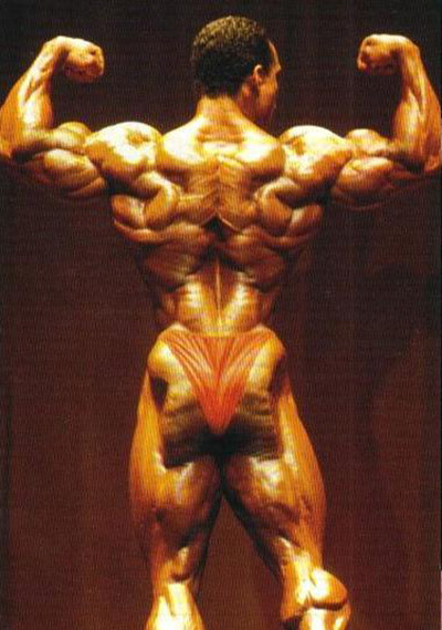 Flex Wheeler - Page 30 FLEX-2new