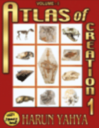 ATLAS OF CREATON 1 VOLUME 2856