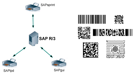 SAP Note 645158 - New bar code technology - Valid Since 22.10.2012 Sap_barcode