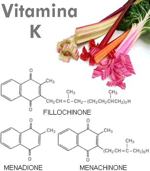 Puzza è naZZista! - Pagina 2 Vitamina-k