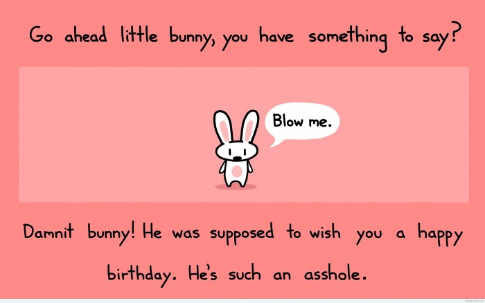 Superstar's Birthday Extravaganza Thread - Page 4 Bunny-has-something-to-say-700x438