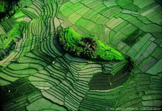 Les grands photographes Yann-Arthus-Bertrand-La-terre-vue-du-ciel