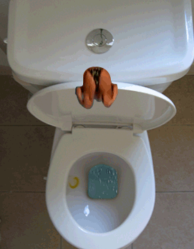 GIF Friday! (NSFW) - Page 5 Pics_animated-diving-into-toilet