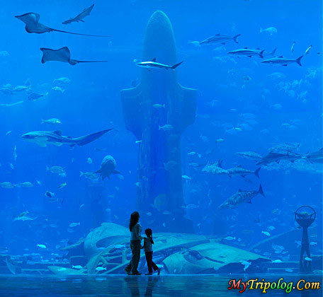 அழகிய துபாய் பாகம் 03. Dubai-aquarium-uae