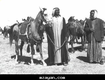 حياة البدو شبه الجزيره العربيه 3095_42594a92e33b57673