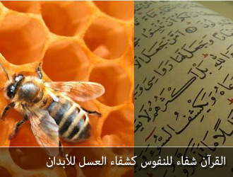 قراءة القرآن تستوجب التدبر والفهم والتطبيق 08