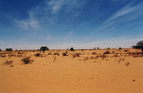 من عجائب الدنيا السبع :حدائق بابل المعلقة الأسطورة الأبدية ! Kalahari