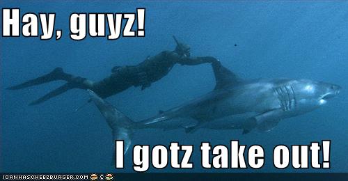 One Up, Enjoy ;) Funny-pictures-diver-rides-shark